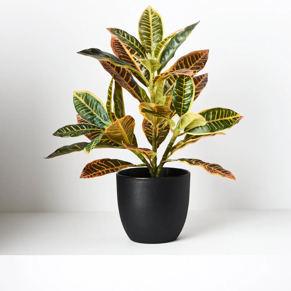 Artificial Croton in Pot