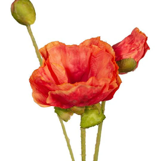 Artificial Poppy Stem - Orange - Image 2